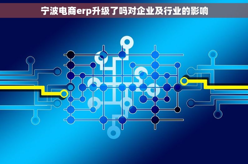 宁波电商erp升级了吗对企业及行业的影响