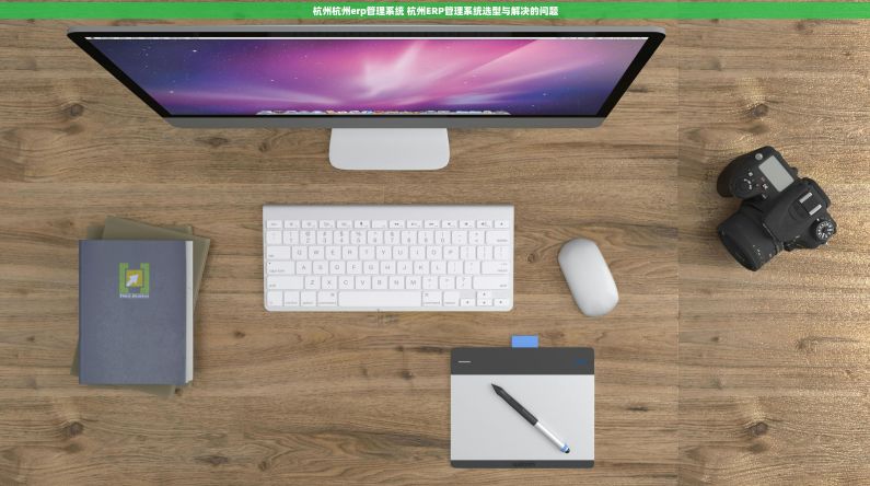 杭州杭州erp管理系统 杭州ERP管理系统选型与解决的问题