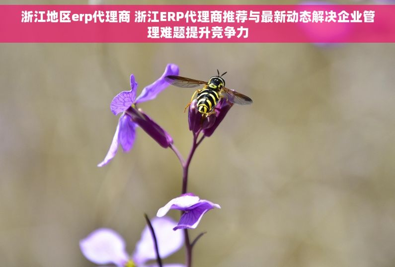 浙江地区erp代理商 浙江ERP代理商推荐与最新动态解决企业管理难题提升竞争力