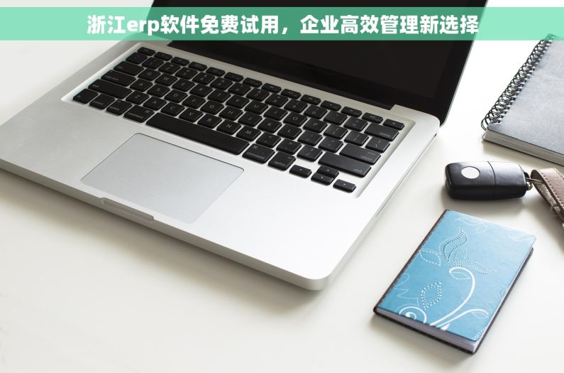 浙江erp软件免费试用，企业高效管理新选择