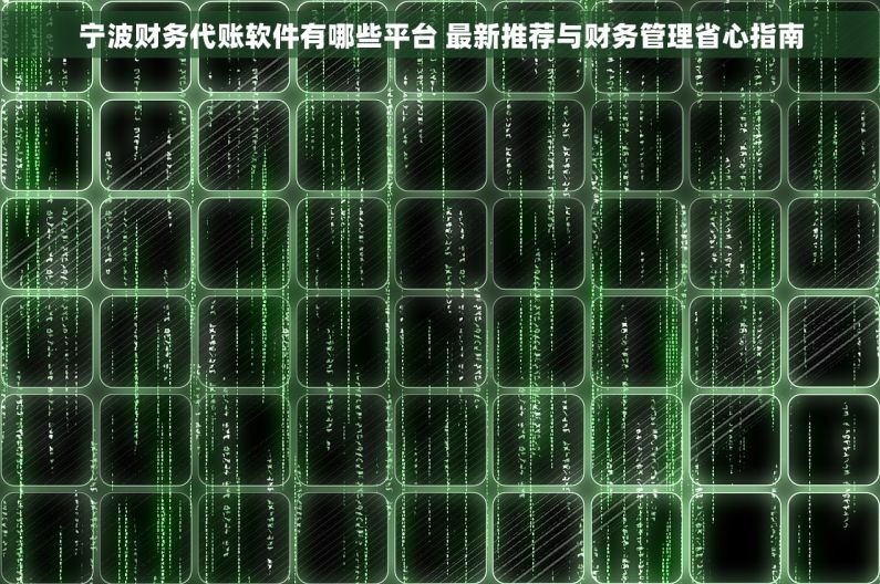 宁波财务代账软件有哪些平台 最新推荐与财务管理省心指南