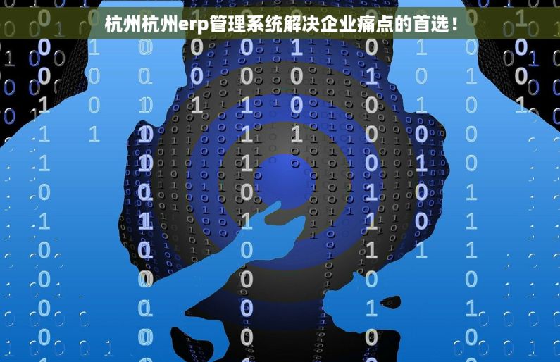 杭州杭州erp管理系统解决企业痛点的首选！