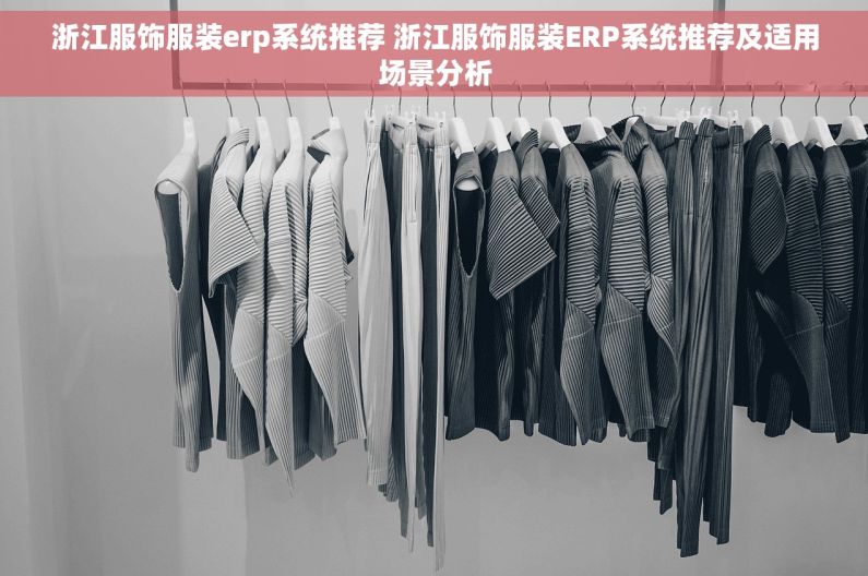 浙江服饰服装erp系统推荐 浙江服饰服装ERP系统推荐及适用场景分析