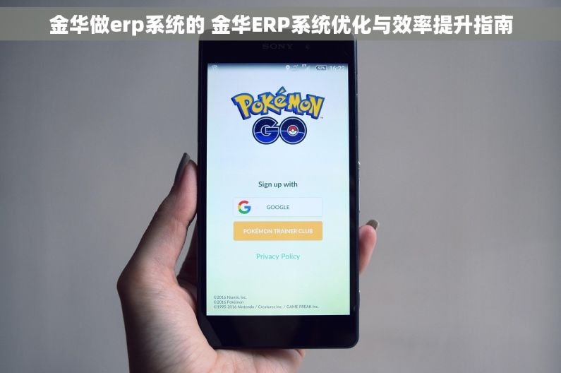 金华做erp系统的 金华ERP系统优化与效率提升指南