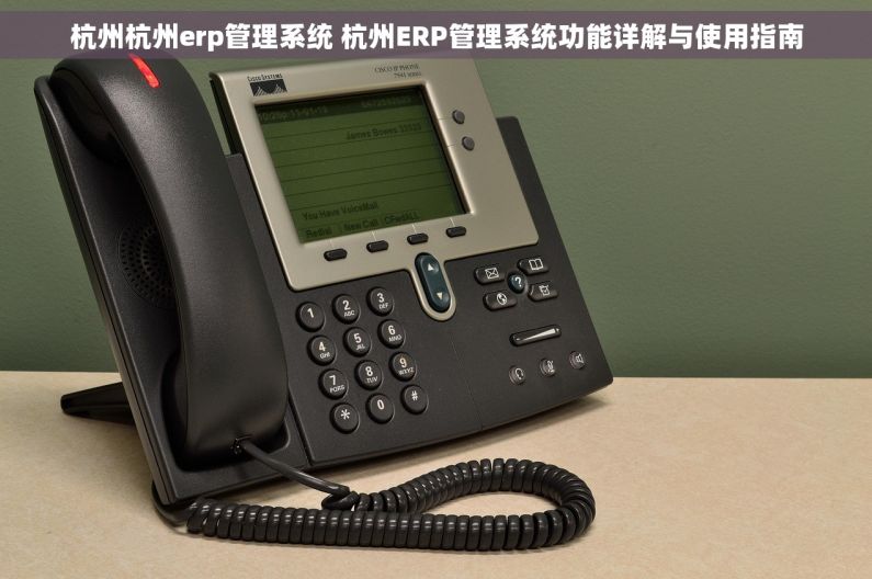 杭州杭州erp管理系统 杭州ERP管理系统功能详解与使用指南