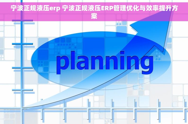 宁波正规液压erp 宁波正规液压ERP管理优化与效率提升方案