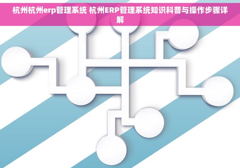 杭州杭州erp管理系统 杭州ERP管理系统知识科普与操作步骤详解