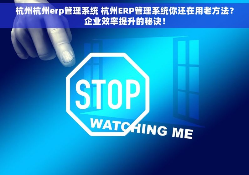 杭州杭州erp管理系统 杭州ERP管理系统你还在用老方法？企业效率提升的秘诀！