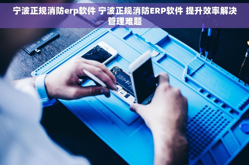 宁波正规消防erp软件 宁波正规消防ERP软件 提升效率解决管理难题