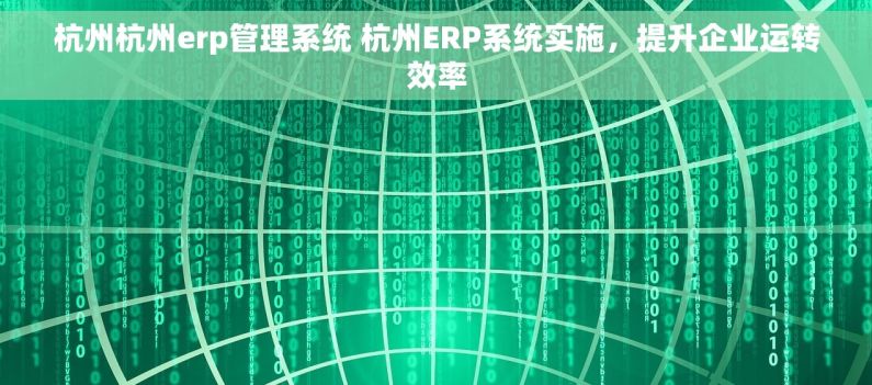 杭州杭州erp管理系统 杭州ERP系统实施，提升企业运转效率
