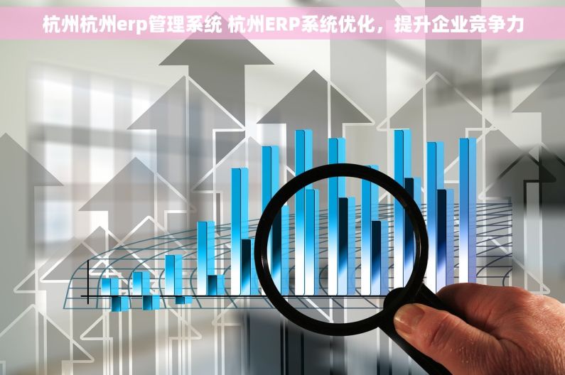 杭州杭州erp管理系统 杭州ERP系统优化，提升企业竞争力