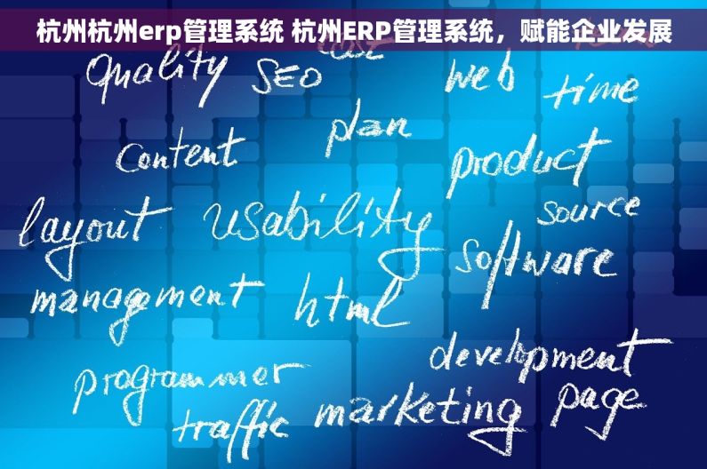 杭州杭州erp管理系统 杭州ERP管理系统，赋能企业发展