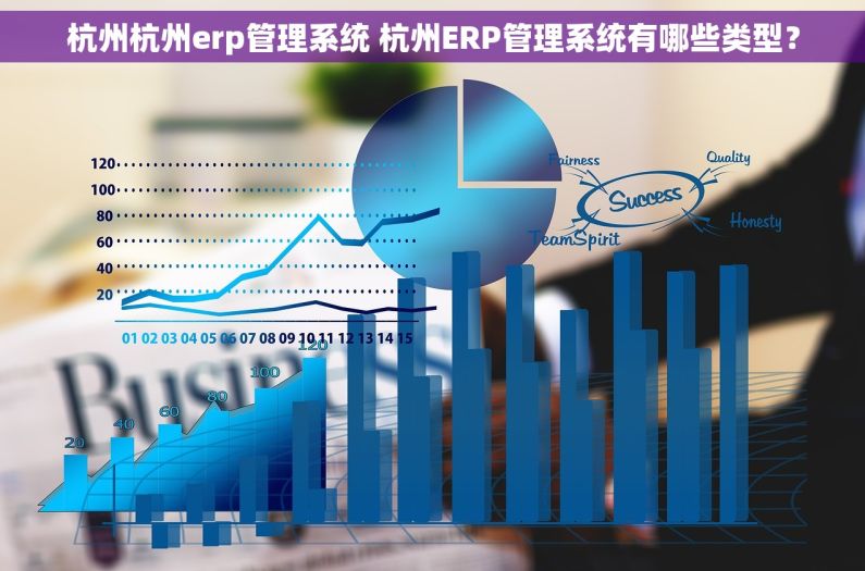 杭州杭州erp管理系统 杭州ERP管理系统有哪些类型？