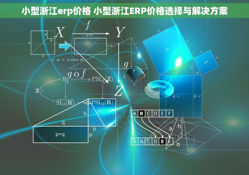 小型浙江erp价格 小型浙江ERP价格选择与解决方案