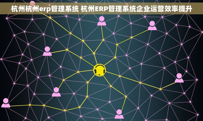 杭州杭州erp管理系统 杭州ERP管理系统企业运营效率提升