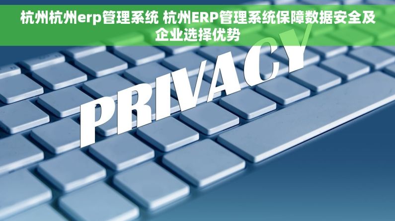 杭州杭州erp管理系统 杭州ERP管理系统保障数据安全及企业选择优势