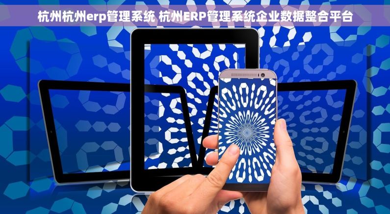 杭州杭州erp管理系统 杭州ERP管理系统企业数据整合平台