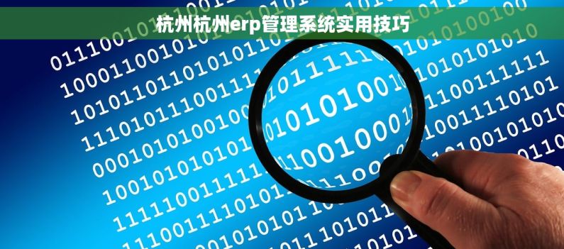 杭州杭州erp管理系统实用技巧