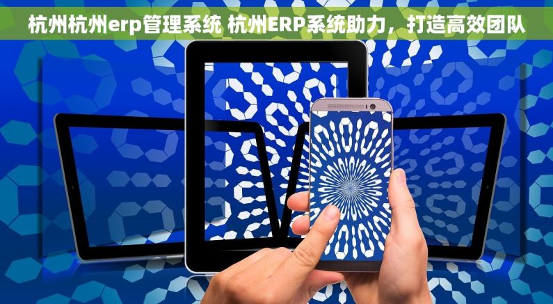 杭州杭州erp管理系统 杭州ERP系统助力，打造高效团队