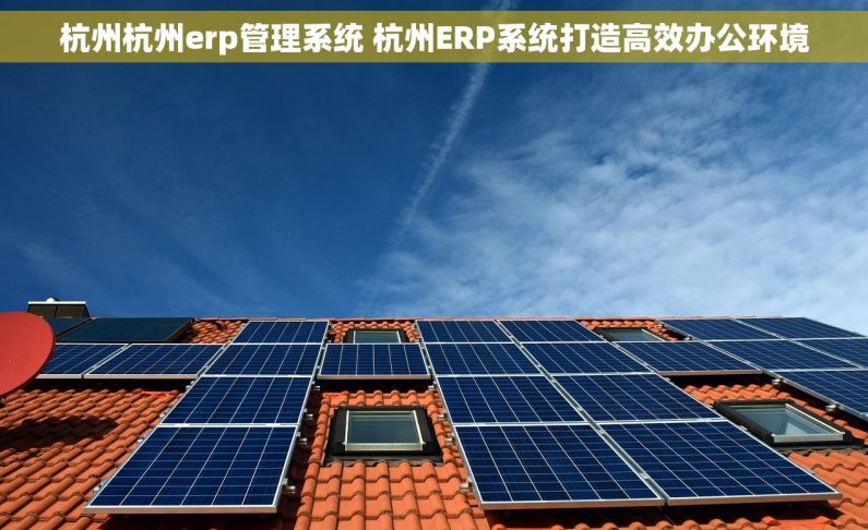 杭州杭州erp管理系统 杭州ERP系统打造高效办公环境