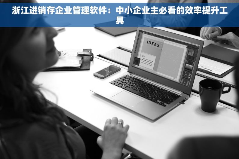 浙江进销存企业管理软件：中小企业主必看的效率提升工具