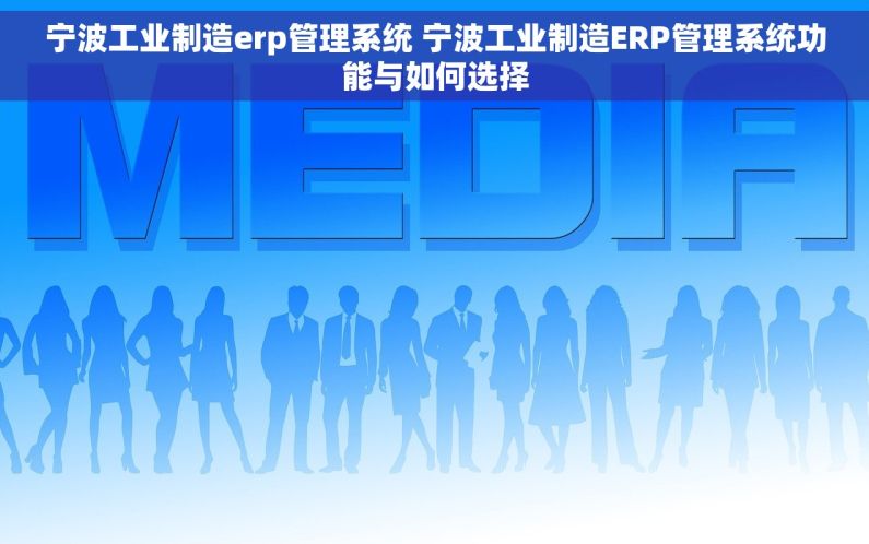 宁波工业制造erp管理系统 宁波工业制造ERP管理系统功能与如何选择