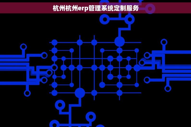 杭州杭州erp管理系统定制服务
