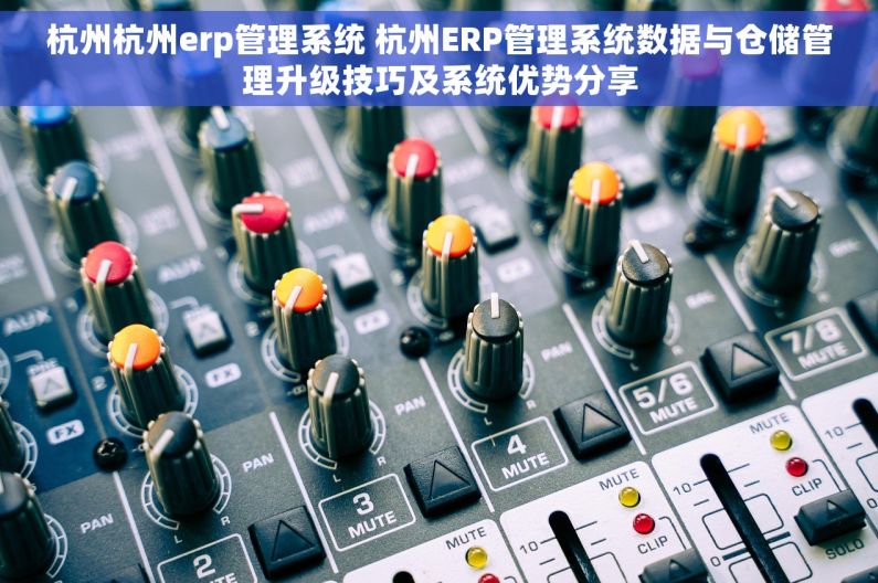 杭州杭州erp管理系统 杭州ERP管理系统数据与仓储管理升级技巧及系统优势分享