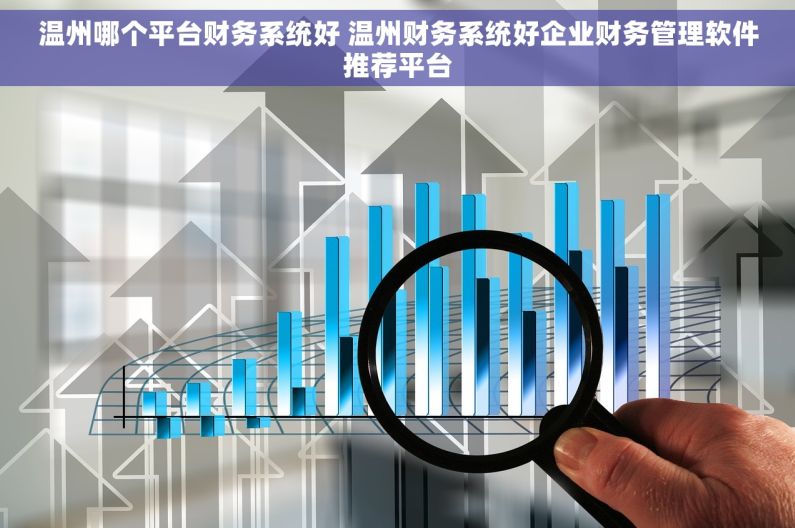 温州哪个平台财务系统好 温州财务系统好企业财务管理软件推荐平台
