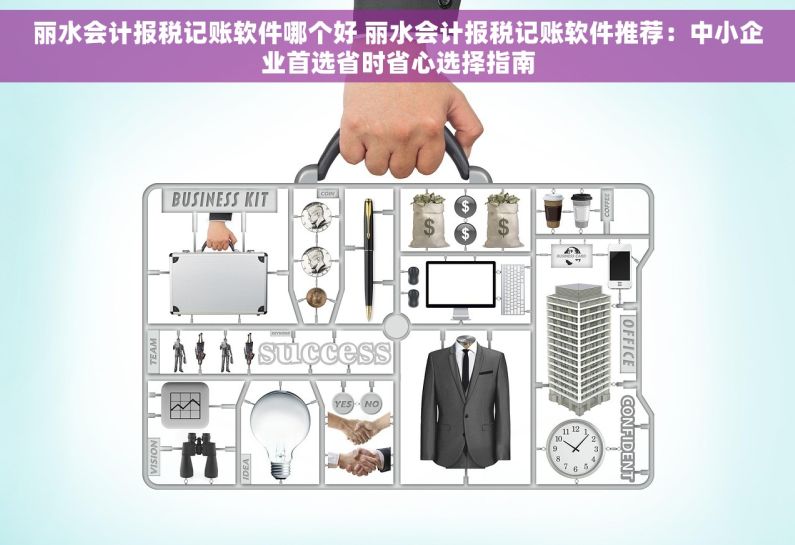 丽水会计报税记账软件哪个好 丽水会计报税记账软件推荐：中小企业首选省时省心选择指南