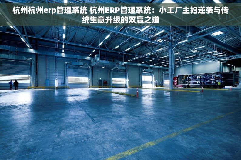 杭州杭州erp管理系统 杭州ERP管理系统：小工厂主妇逆袭与传统生意升级的双赢之道