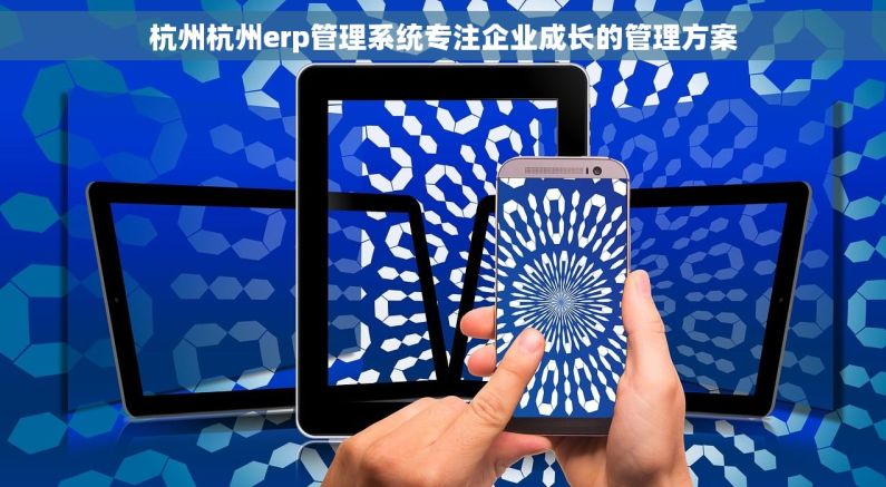 杭州杭州erp管理系统专注企业成长的管理方案