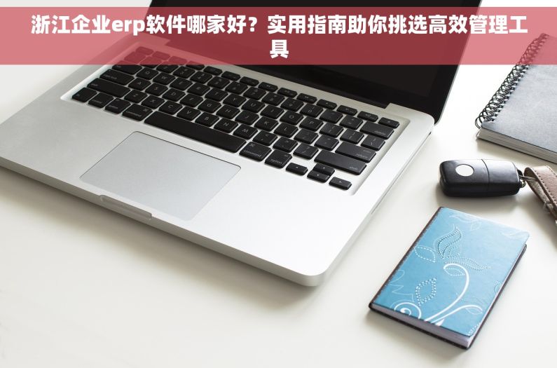 浙江企业erp软件哪家好？实用指南助你挑选高效管理工具