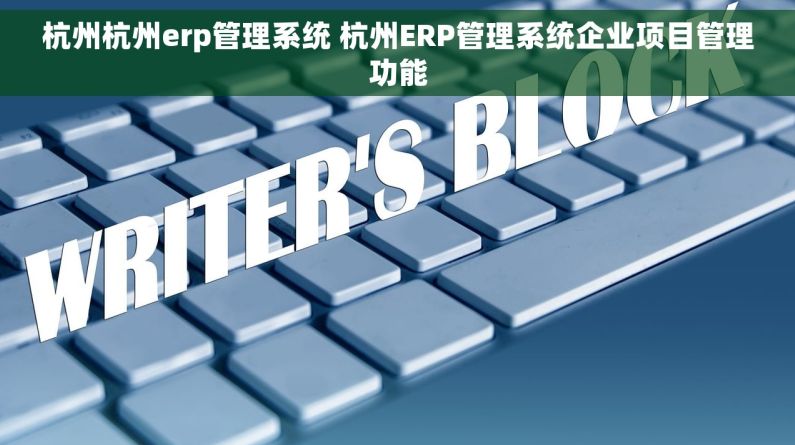 杭州杭州erp管理系统 杭州ERP管理系统企业项目管理功能