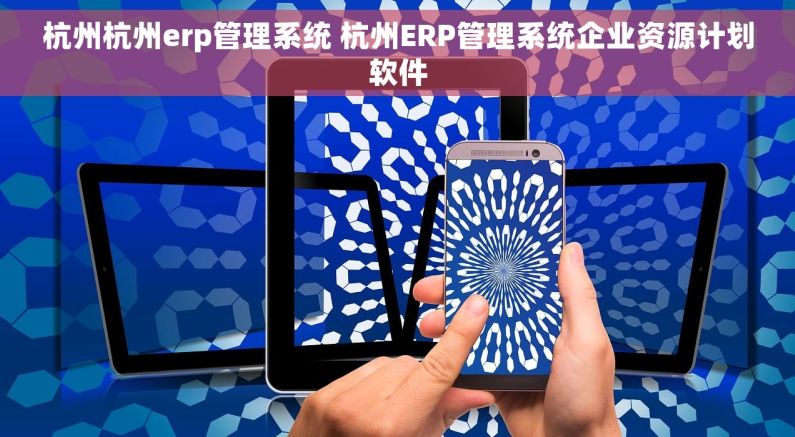 杭州杭州erp管理系统 杭州ERP管理系统企业资源计划软件