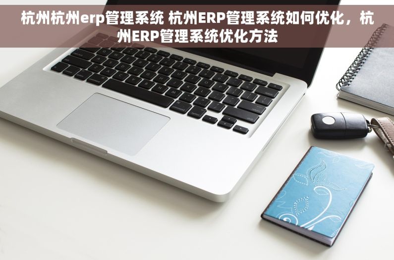 杭州杭州erp管理系统 杭州ERP管理系统如何优化，杭州ERP管理系统优化方法