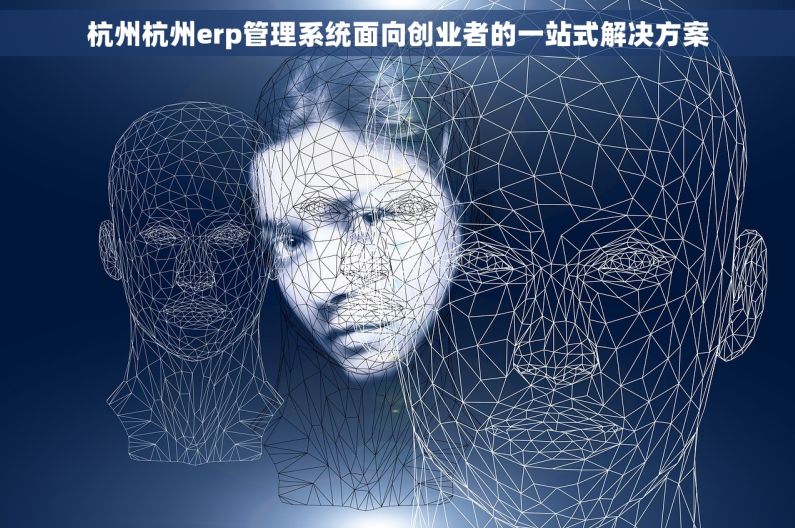 杭州杭州erp管理系统面向创业者的一站式解决方案