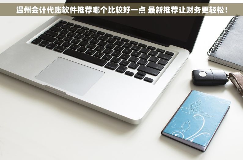 温州会计代账软件推荐哪个比较好一点 最新推荐让财务更轻松！