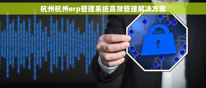 杭州杭州erp管理系统高效管理解决方案