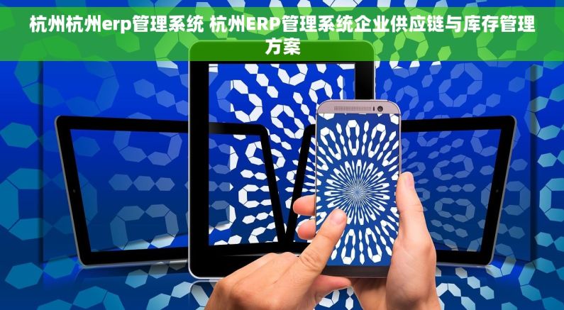 杭州杭州erp管理系统 杭州ERP管理系统企业供应链与库存管理方案