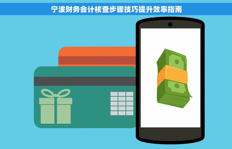 宁波财务会计核查步骤技巧提升效率指南
