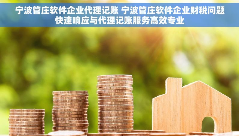 宁波管庄软件企业代理记账 宁波管庄软件企业财税问题快速响应与代理记账服务高效专业