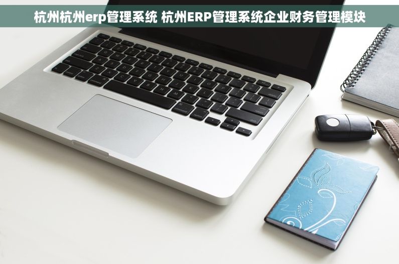 杭州杭州erp管理系统 杭州ERP管理系统企业财务管理模块