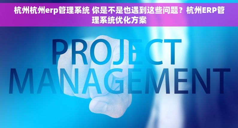 杭州杭州erp管理系统 你是不是也遇到这些问题？杭州ERP管理系统优化方案