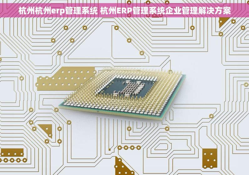 杭州杭州erp管理系统 杭州ERP管理系统企业管理解决方案