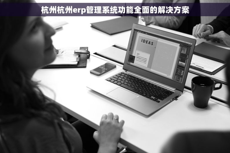 杭州杭州erp管理系统功能全面的解决方案