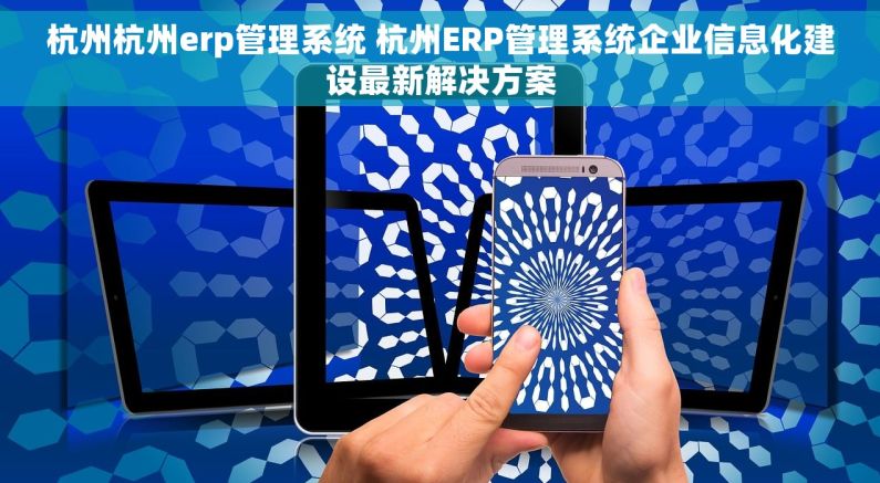 杭州杭州erp管理系统 杭州ERP管理系统企业信息化建设最新解决方案