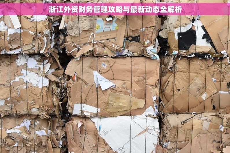 浙江外资财务管理攻略与最新动态全解析