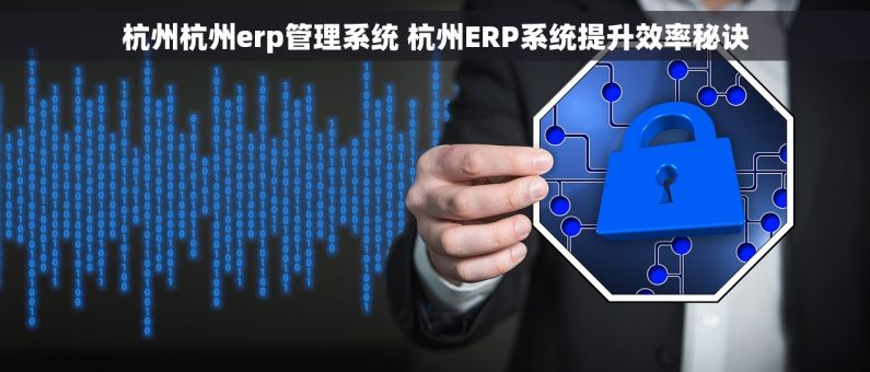 杭州杭州erp管理系统 杭州ERP系统提升效率秘诀