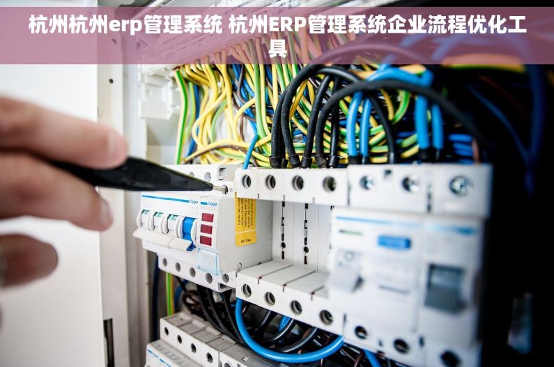 杭州杭州erp管理系统 杭州ERP管理系统企业流程优化工具
